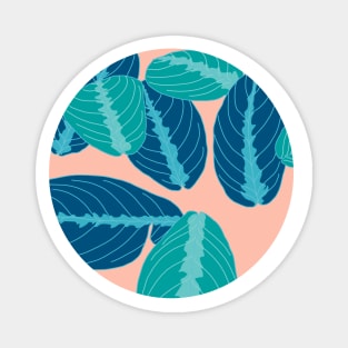 Prayer plant circle Magnet